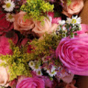 Meet your Posher, Michele